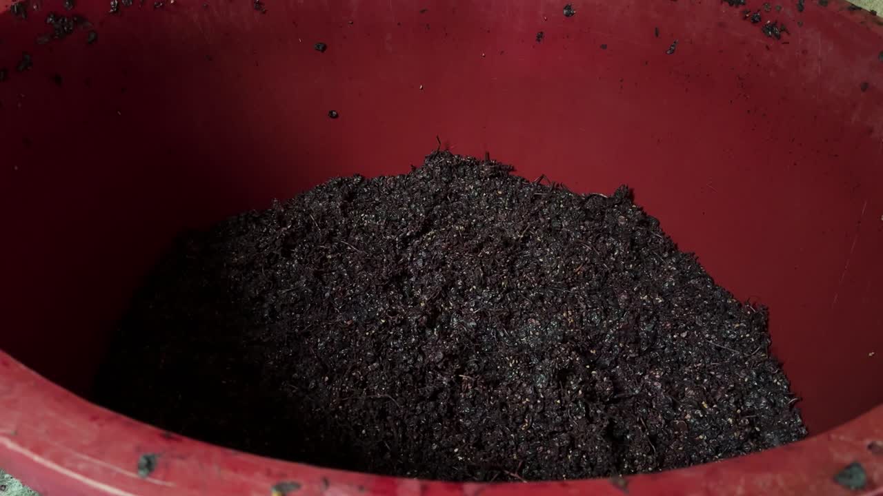 The remains of the pressed Borraçal grapes are collected and served as feed for the animals