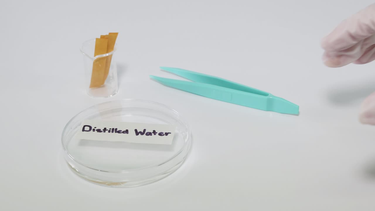 디스레이션 된 물에 담긴 리크무스 종이