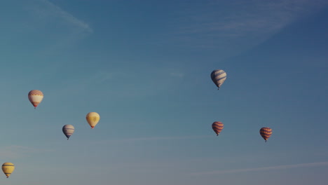 hot air balloons in the sky