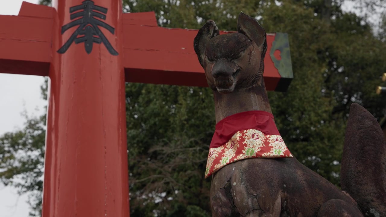 Tượng cáo kitsune đá hộ mệnh đeo yếm đỏ bên cạnh cổng torii màu đỏ son tại đền thờ Inari ở Nhật Bản.