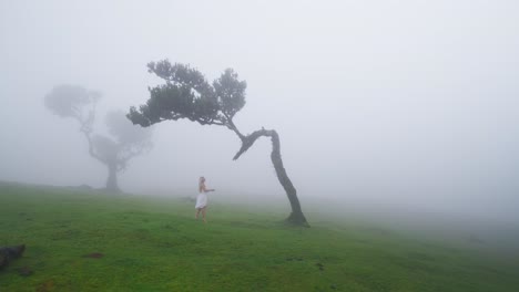 Goddess-woman-in-white-dress-walking-towards-dragon-shaped-tree-in-mist