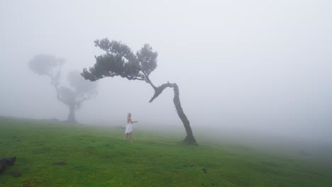 goddess woman in white dress walking towards dragon shaped tree in mist