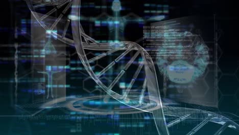 animación del cerebro humano, hilado de cadenas de adn y procesamiento de datos