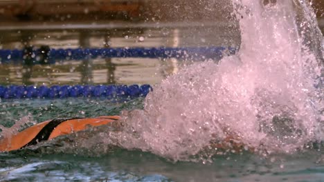 fit swimmer doing the butterfly stroke in swimming pool