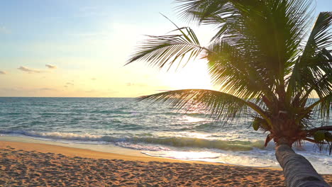 Eine-Helle-Tropische-Sonne-Späht-Durch-Eine-Horizontale-Palme,-Die-über-Einen-Sandstrand-Hinausragt