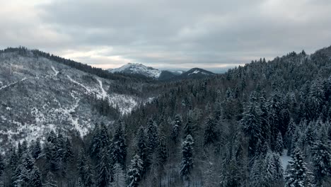 Ukraine's-Beautiful-Snow-Covered-Mountains---Aerial