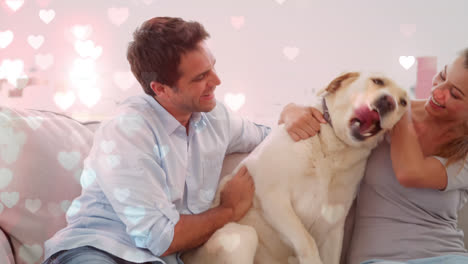 couple playing with a dog on the couch against illustration of hearts