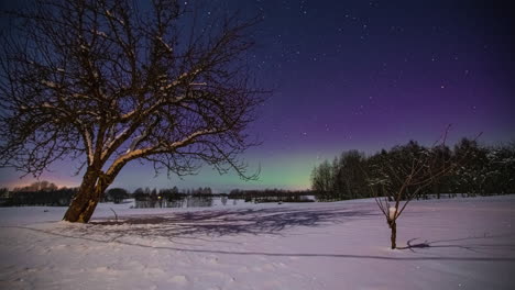 Noche-Estrellada-Con-La-Aurora-Boreal-Verde-Brillante-Sobre-Las-Copas-De-Los-árboles---Lapso-De-Tiempo