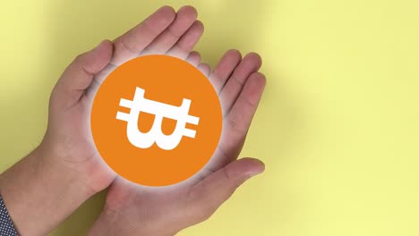 bitcoin, crypto coins symbol that appears on 2 hands that open in the form of a book