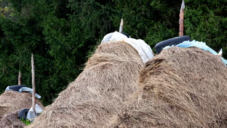 Heuhaufen-Im-Wind---Rumänien