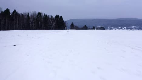 Drone-Siguiendo-Un-Camino-En-Invierno