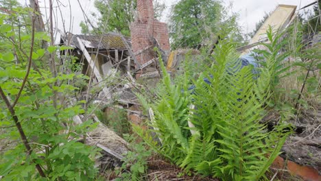 Suspected-dead-body-lies-among-grass-and-debris-of-a-destroyed-building