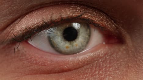 woman eye macro, detailed closeup of an eye with colorful contact lenses, with long eyelashes and a natural brow exudes beauty and elegance