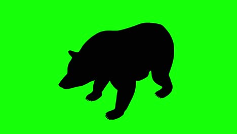 Silhouette-of-a-bear-howling,-on-green-screen,-perspective-view