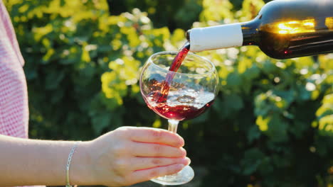 pouring red wine into glasses on the background of the vine wine tasting