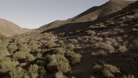 vista aérea en movimiento sobre colinas y matorrales con montañas del sur de california