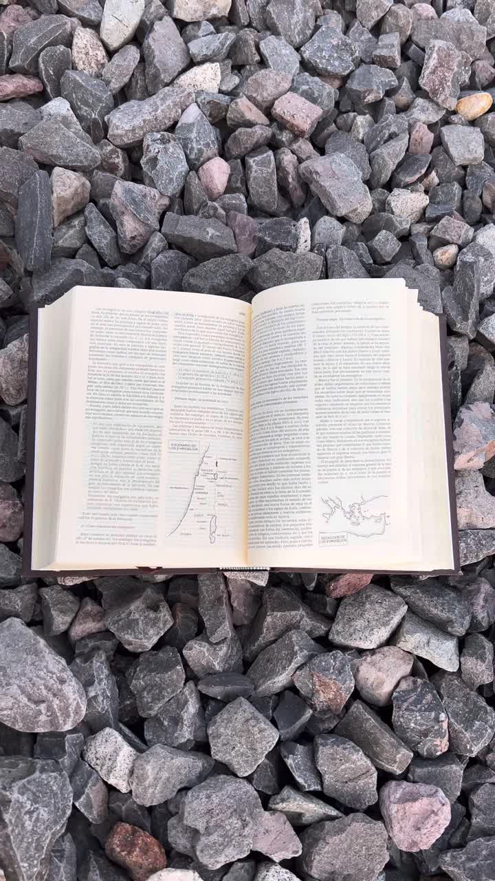 mi biblia es la presencia de dios en la tierra