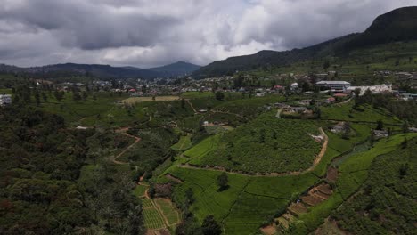 Schöne-Grüne-Teeplantagen-Auf-Den-Steilen-Hügeln-Mit-Mehreren-Gewundenen-Wanderwegen-Durch-Die-Teeplantagen-In-Ella-In-Sri-Lanka-An-Einem-Teilweise-Bewölkten-Tag