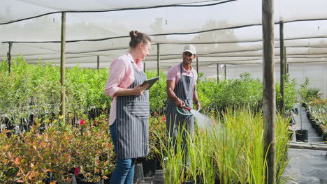 garden center diverse workers with plants, woman with tablet, man watering greenery, in greenhouse