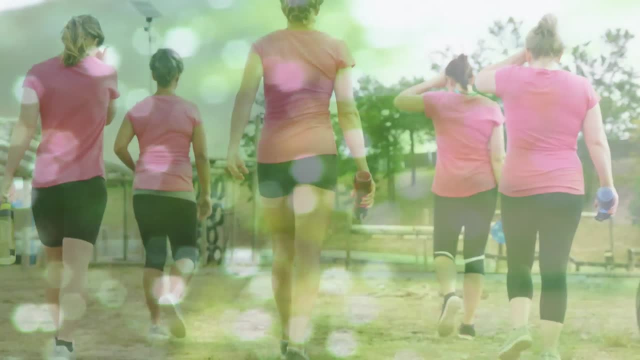 장애물 코스  ⁇ 는 다양한 여성들에 대한 빛의 반점의 애니메이션