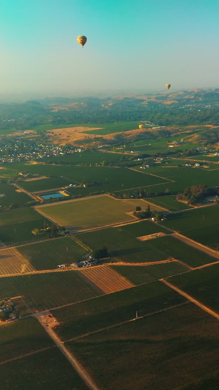 Admirable view of Napa vineyards on beautiful sunny day. Hot air balloons flying over the gorgeous valley and green mountains. Top view. Vertical video
