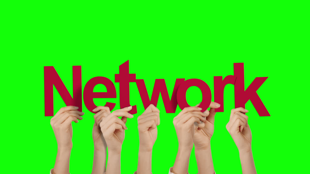 손을  ⁇ 고 있는 네트워크