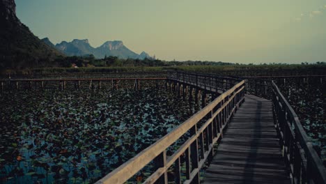 Un-Paseo-Marítimo-En-Un-Pantano-En-Tailandia-Con-Increíbles-Colinas-De-Piedra-Caliza-Que-Bordean