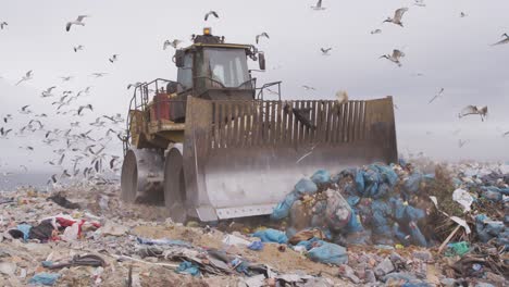 vehículos que limpian la basura apilada en un vertedero lleno de basura