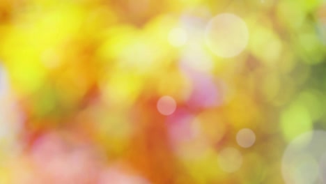 Abstract spring background with bokeh