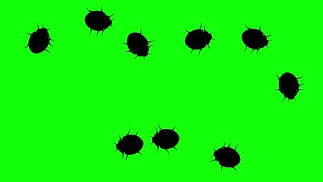 swarm of beetles, cg animated silhouettes on green screen, seamless loop