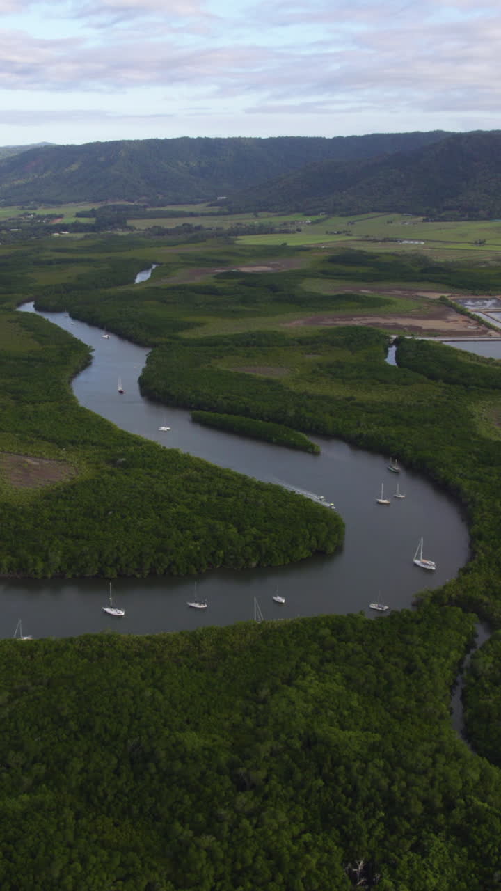 Scenic River Landscape with Sailboats and Mangrove Forest