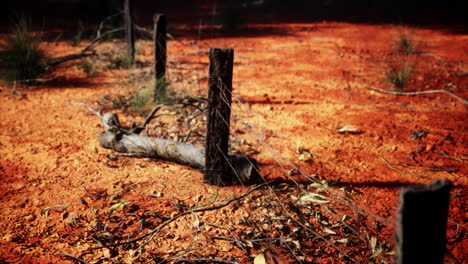 vieja valla de alambre de púas rural con postes de madera