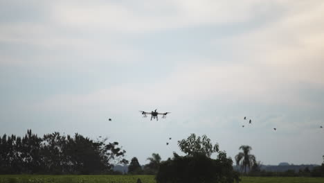 Toma-En-Cámara-Lenta-De-Un-Dji-Agras-T30-Escaneando-Un-Campo-Para-Crear-Un-Mapa-Para-Fumigar