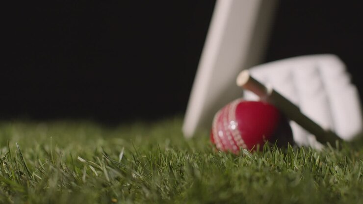 Natura morta di cricket con primo piano di mazza, palla, bails e guanti adagiati sull'erba 5.