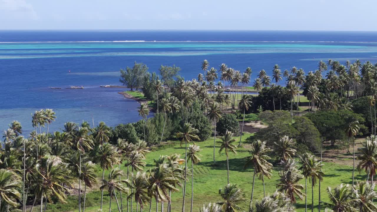 Aerial View Of Coconut Palm Trees In Tropical Coastline Of Tahiti In French Polynesia.