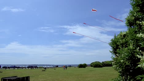 a couple walks under kites being flown at the ocean front