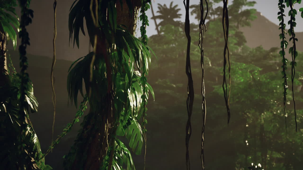 escena del bosque de la jungla