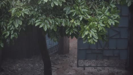 Raining-cats-and-dogs-on-top-of-a-tree-where-the-gate-is-open-creating-a-beautiful-cinematic-environment