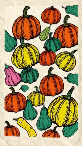 colorful autumn pumpkins and gourds illustration