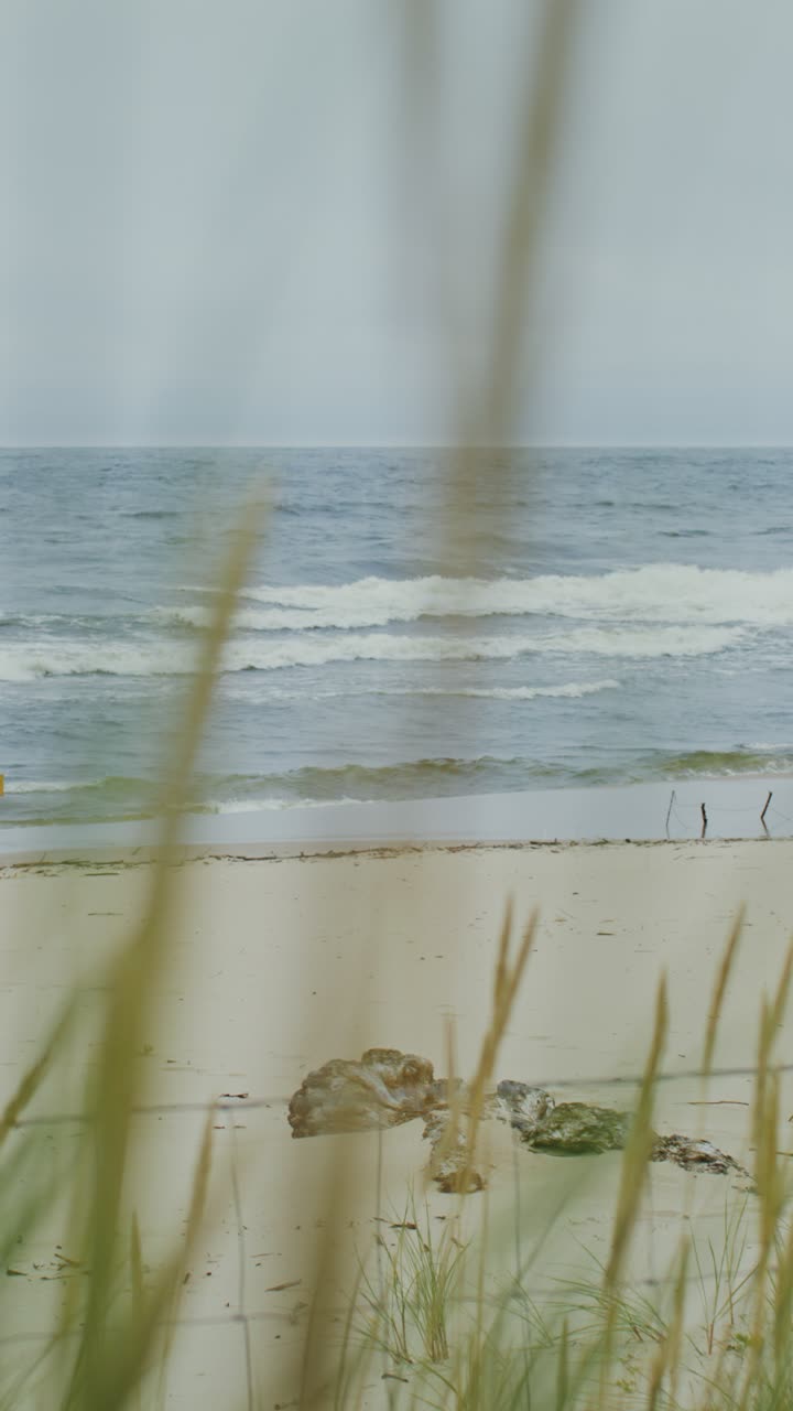 A serene beach scene with waves and driftwood