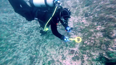 scuba diver searching for gold with a metal detector