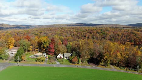 descending aerial reveals secluded homes in forest