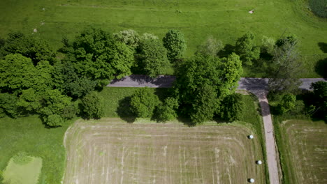 Aerial-top-down-shot-of-rural-road-beside-farm-fields,-trees-and-agricultural-countryside