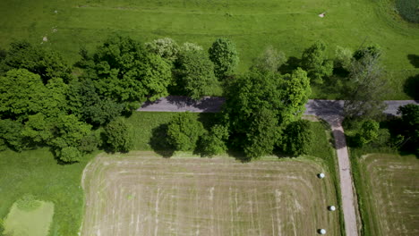 aerial top down shot of rural road beside farm fields, trees and agricultural countryside