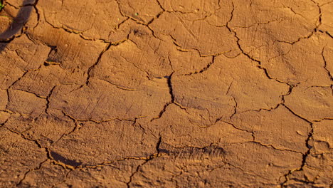 time-lapse, wet clay ground dries out in hot sun until soil cracks