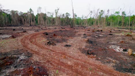 Vista-Aérea-De-Un-área-Deforestada,-Que-Revela-Las-Duras-Consecuencias-De-La-Degradación-Ambiental-Y-La-Pérdida-De-Paisajes-Naturales.