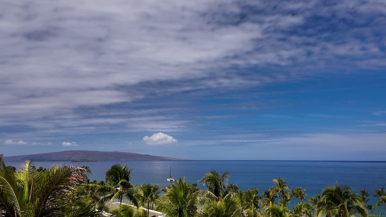 Tropical Ocean View with Palm Trees and Clouds