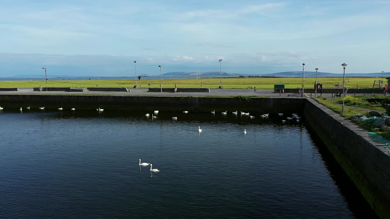 아일랜드 골웨이 클라다의 화창한 날 부두를 따라 백조 무리가 있는 장면