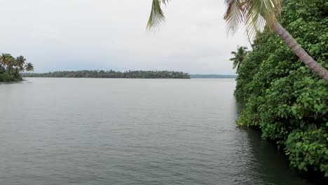 4k aerial reveal drone shot of a 25-year-old indian male sitting on top of a sloped coconut tree by the backwaters of munroe island, ashtamudi lake, kerala