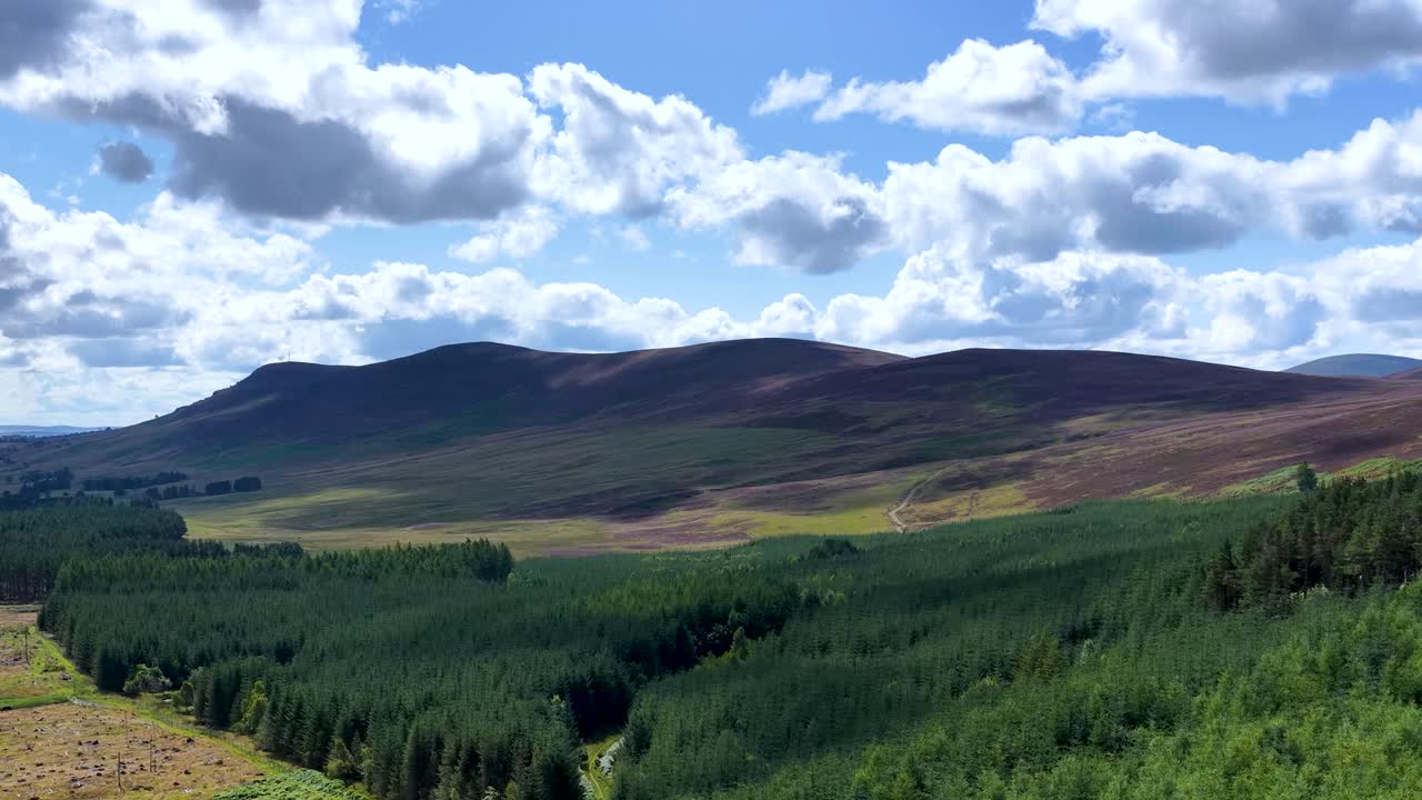 Drone camera smoothly pans across green valley, dense forest, and rolling hills under bright daylight
